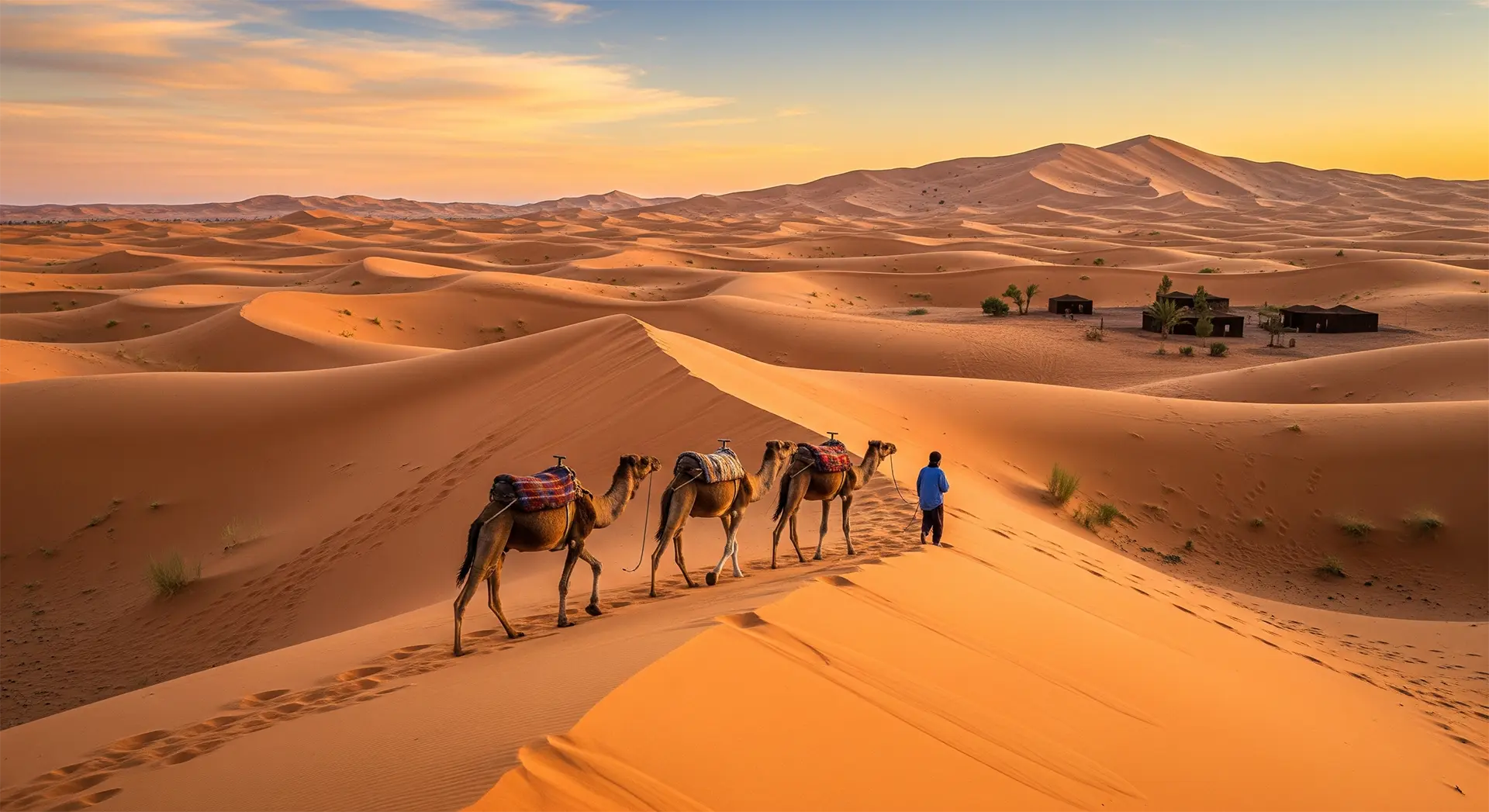 desert caravan in Morocco Sahara desert