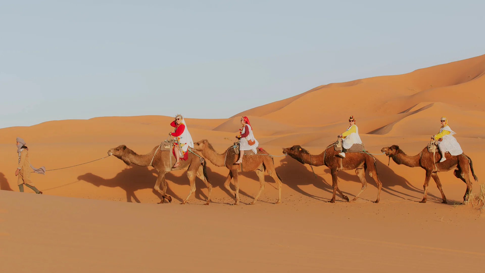 camel carnival taking womens wearing traditional berber clothes in Morocco Sahara Desert