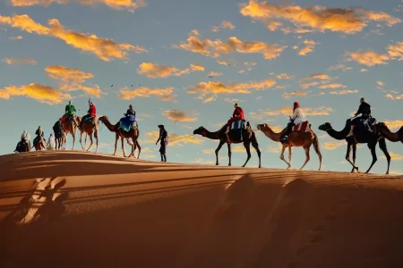 stunning image of a camel caravan in the sahara desert at sunset with Morocco Sahara tours