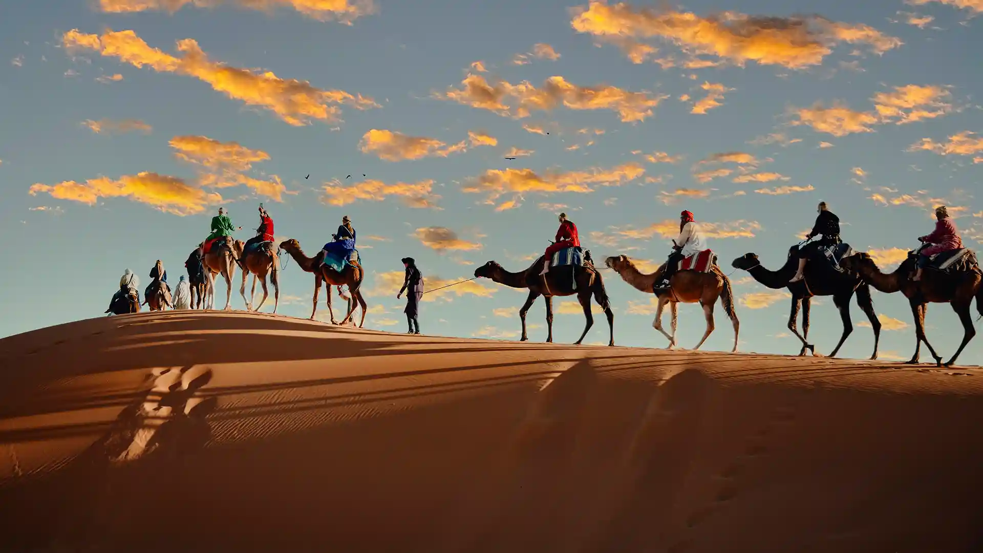 stunning image of a camel caravan in the sahara desert at sunset with Morocco Sahara tours